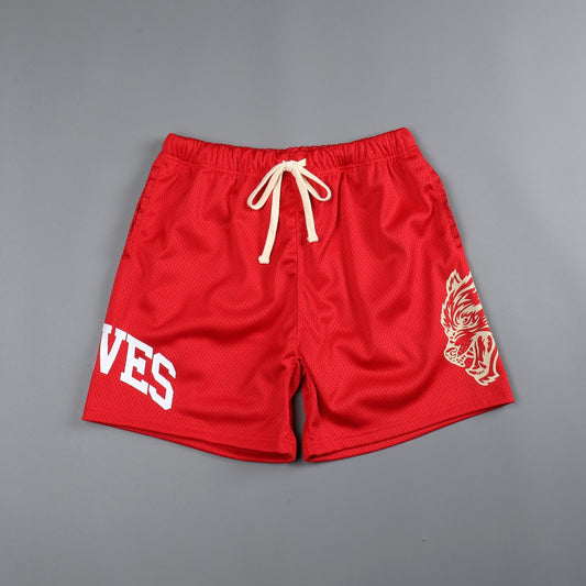 Men's Stylish Beach Shorts Mesh